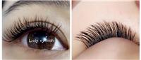 Lady Eyelash Beauty ...