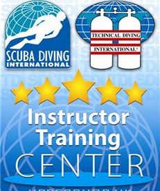 潛龍 Diving Dragon